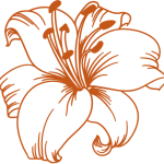 logo fleur orange